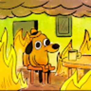 Meet your Posher, Connor